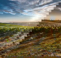 Perth to Margaret River Wine Tour - 2 Day Premium Boutique Wine Tour Experience - Attractions