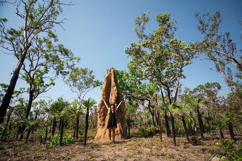 Litchfield National Park - Top End Day Tour From Darwin - Attractions 5