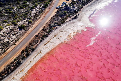 7-Day Exmouth Explorer Via Pinnacles Monkey Mia Ningaloo Reef Returning To Perth - Attractions 0