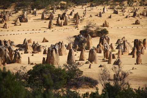 Pinnacles Sunset Dinner And Stargazing Experience A Small Group Tour - See Attractions 0