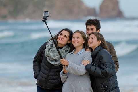 Small-Group Phillip Island Day Trip From Melbourne With Penguin Plus Viewing - Attractions 1