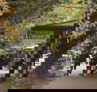 Adelaide Highlights Hahndorf  McLaren Vale Wine Tasting and Sightseeing Tour - Attractions