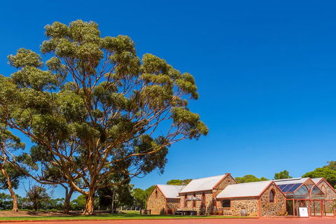 McLaren Vale And Glenelg Wine Tasting And Sightseeing (Half-day Afternoon) - Attractions 5