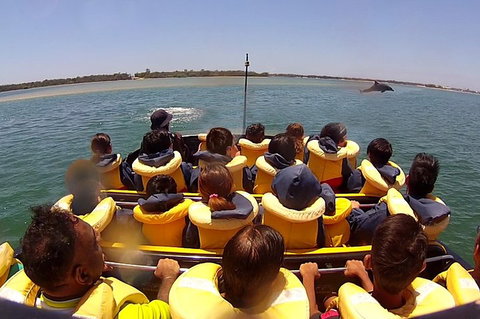 Jet Boat Express Ride - 30mins - See Attractions 5
