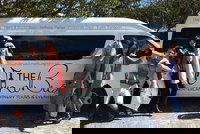 Book Viator Accommodation Vacations Attractions Attractions