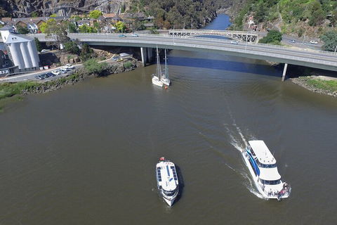2.5 Hour Afternoon Discovery Cruise Including Cataract Gorge Departs At 1: 30 Pm - Attractions 5