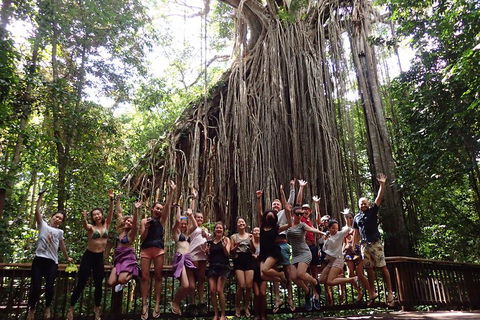 Atherton Tablelands Waterfalls Tour From Cairns - Attractions 5