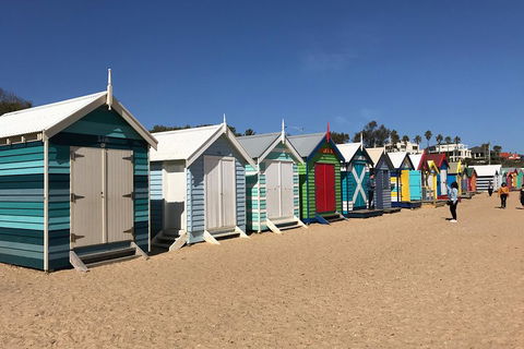 Phillip Island Penguin Parade, Brighton Bathing Boxes And Wildlife Park Tour - Attractions 3