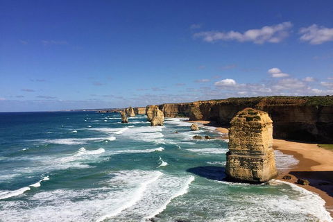 Great Ocean Road Reverse Itinerary PREMIUM Tour - Attractions 2