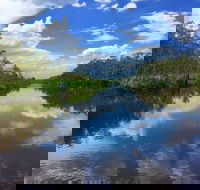 Noosa Everglades Serenity Cruise  Highlights Tour Inc. Lunch  Cruise - Attractions