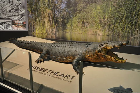 Explore Darwin City Sights Including Key Attractions - Attractions 2