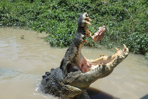 Litchfield And Jumping Crocodiles Full Day Trip From Darwin - Attractions 3
