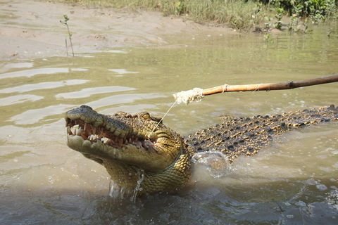 Litchfield And Jumping Crocodiles Full Day Trip From Darwin - Attractions 4