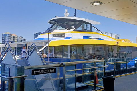 Brisbane City Essentials Walking Tour - Attractions 3