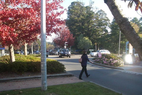 PRIVATE All-Day Blue Mountains Tour With Professional Guide For Up To 4 People - Attractions 1