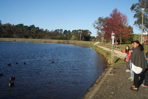 PRIVATE All-Day Blue Mountains Tour With Professional Guide For Up To 4 People - Attractions 2