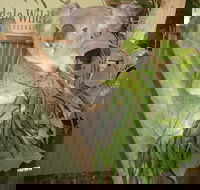 Blue Mountains Private Full-Day Tour from Sydney with Cruise - Attractions