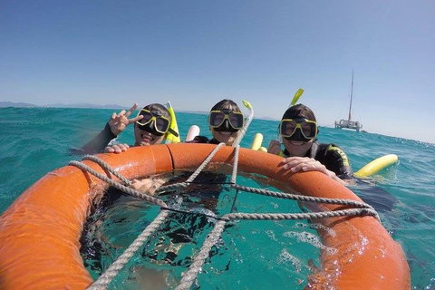 Full-Day Great Barrier Reef Sailing Trip - Attractions 0