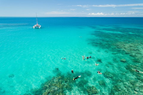 Full-Day Great Barrier Reef Sailing Trip - Attractions 2