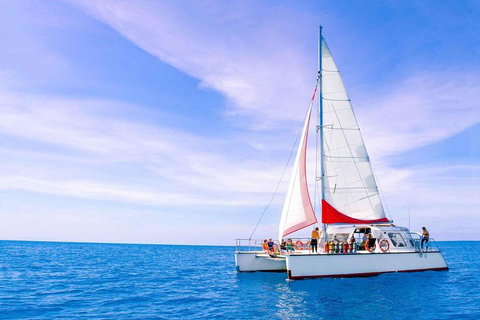 Full-Day Great Barrier Reef Sailing Trip - Attractions 4