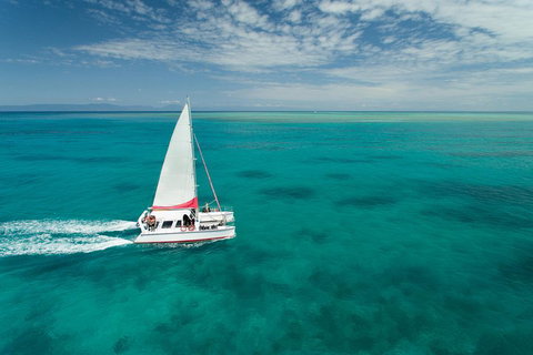 Full-Day Great Barrier Reef Sailing Trip - Attractions 5