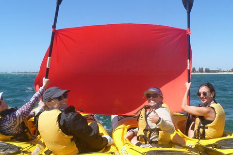 Seal Island And Penguin Island Or Point Peron Sea Kayak Tour - Attractions 2