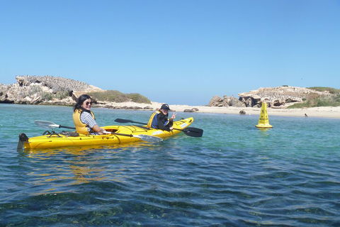 Seal Island And Penguin Island Or Point Peron Sea Kayak Tour - Attractions 3