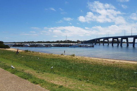 Phillip Island Penguin And Wildlife Tour - Attractions 4