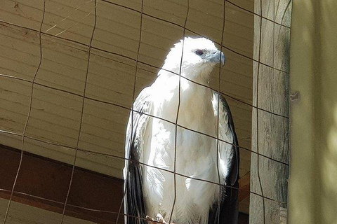 Phillip Island Penguin And Wildlife Tour - Attractions 5