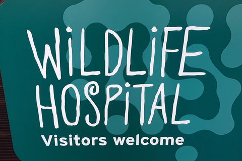 Healesville Sanctuary And Rayners Orchard Tour From Melbourne - Attractions 1