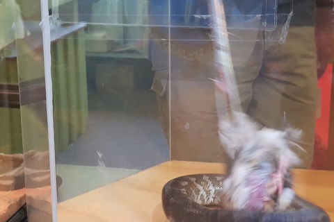 Healesville Sanctuary And Rayners Orchard Tour From Melbourne - Attractions 4