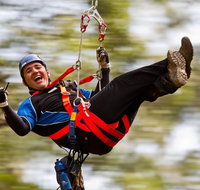 12 Apostles and Otway Fly Zipline Day Trip from Melbourne - Attractions