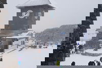Mt Buller Day Trip from Melbourne