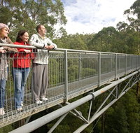 Adventure Sunset Three Day Great Ocean Road Tour - Attractions