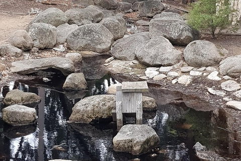 Bendigo, Echuca & The Mighty Murray - Attractions 1