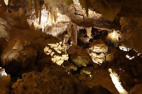 Ngilgi Cave Semi-guided Tour - Attractions 3
