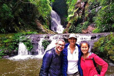 Exclusive Private Tour - Design Your Own - Attractions 0