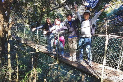 Exclusive Private Tour - Design Your Own - Attractions 5