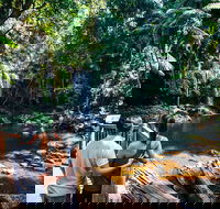 Aquaduck  Your choice of Gold Coast Rainforest Tour - Attractions