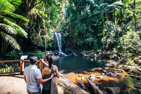 Aquaduck & Your Choice Of Gold Coast Rainforest Tour - Attractions 0