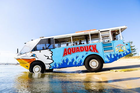 Aquaduck & Your Choice Of Gold Coast Rainforest Tour - Attractions 3
