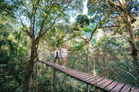 Aquaduck & Your Choice Of Gold Coast Rainforest Tour - Attractions 4