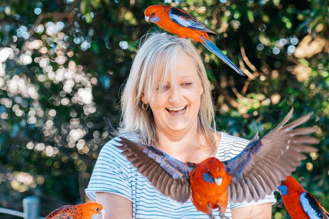 Aquaduck & Your Choice Of Gold Coast Rainforest Tour - Attractions 5