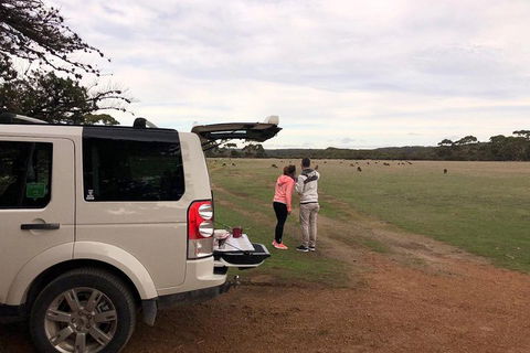 Kangaroo Island 4WD Tour - Flinders Chase - Attractions 3