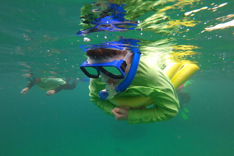Manly Snorkel Trip And Nature Walk With Local Guide - Attractions 5