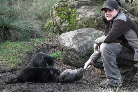 After Dark Tasmanian Devil Feeding Tour At Cradle Mountain - Attractions 2