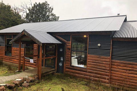 After Dark Tasmanian Devil Feeding Tour At Cradle Mountain - Attractions 3