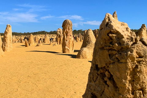 Pinnacles Desert (Private) Day Tour - Attractions 0