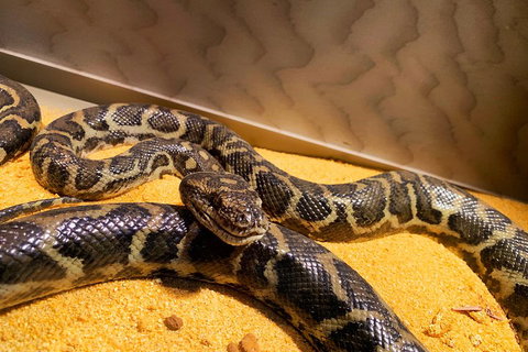 Pinnacles Desert (Private) Day Tour - Attractions 1