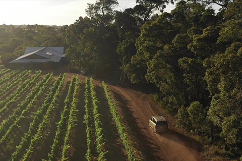 The All About Margaret River Tour: Wine, Coffee, Lunch And Forest - Attractions 1